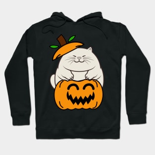 Cute Fat cat is in a pumpkin Hoodie